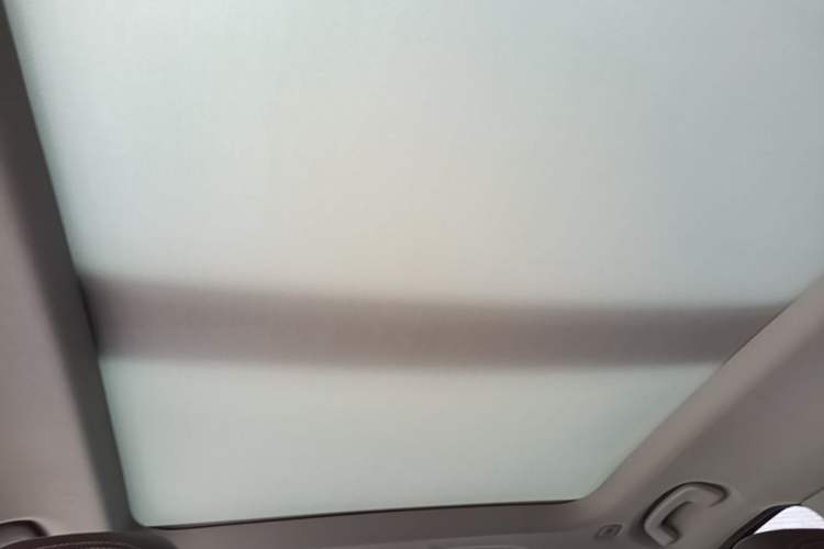Used BMW X1 2019 xDrive20Li Luxury Model Headliner