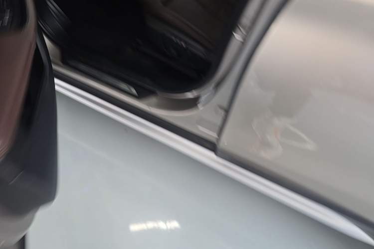 Used BMW X1 2019 xDrive20Li Luxury Model Left Side Sill