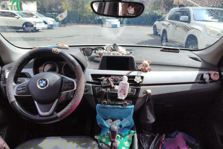 Used BMW X1 2019 sDrive18Li Fashion Model Center Console