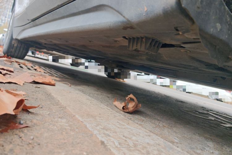 Used BMW X1 2019 sDrive18Li Fashion Model Chassis Front Right