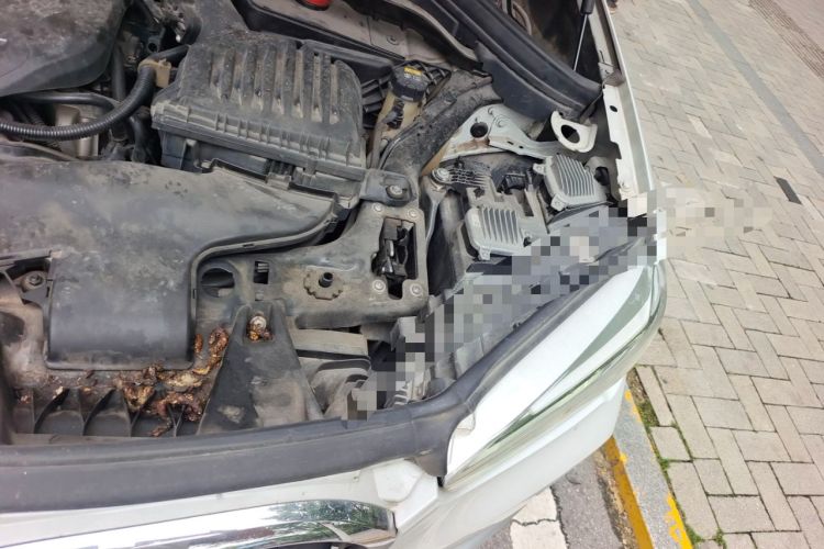 Used BMW X1 2019 sDrive18Li Premium Edition Engine Bay Left
