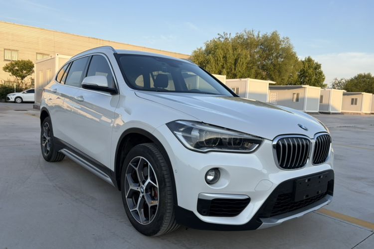 Used BMW X1 2019 xDrive20Li Luxury Edition Exterior 2
