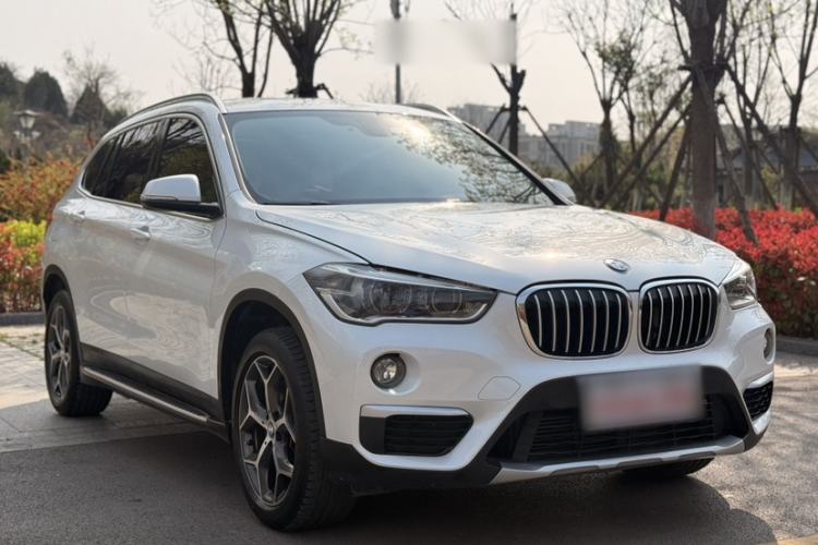 Used BMW X1 2019 xDrive20Li Luxury Model Exterior 3