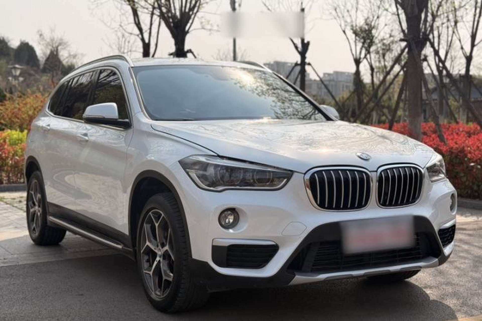 Used BMW X1 2019 xDrive20Li Luxury Model Exterior 3