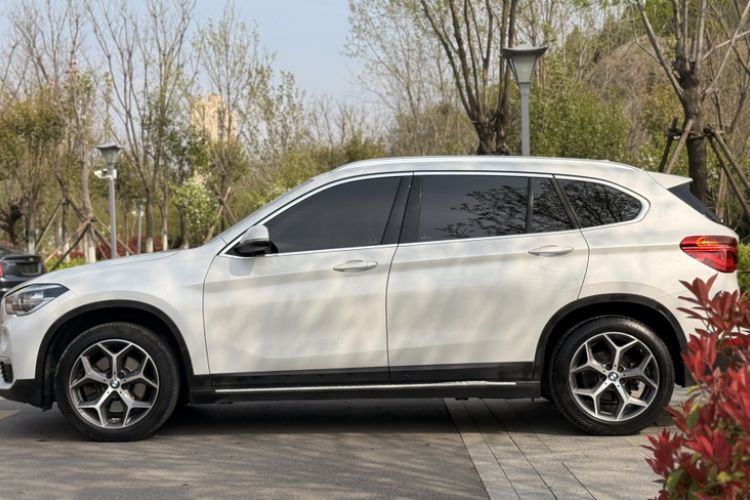 Used BMW X1 2019 xDrive20Li Luxury Model Exterior 5