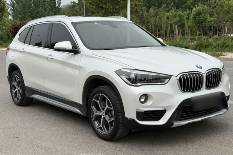 Used BMW X1 2019 xDrive20Li Luxury Model Exterior 6