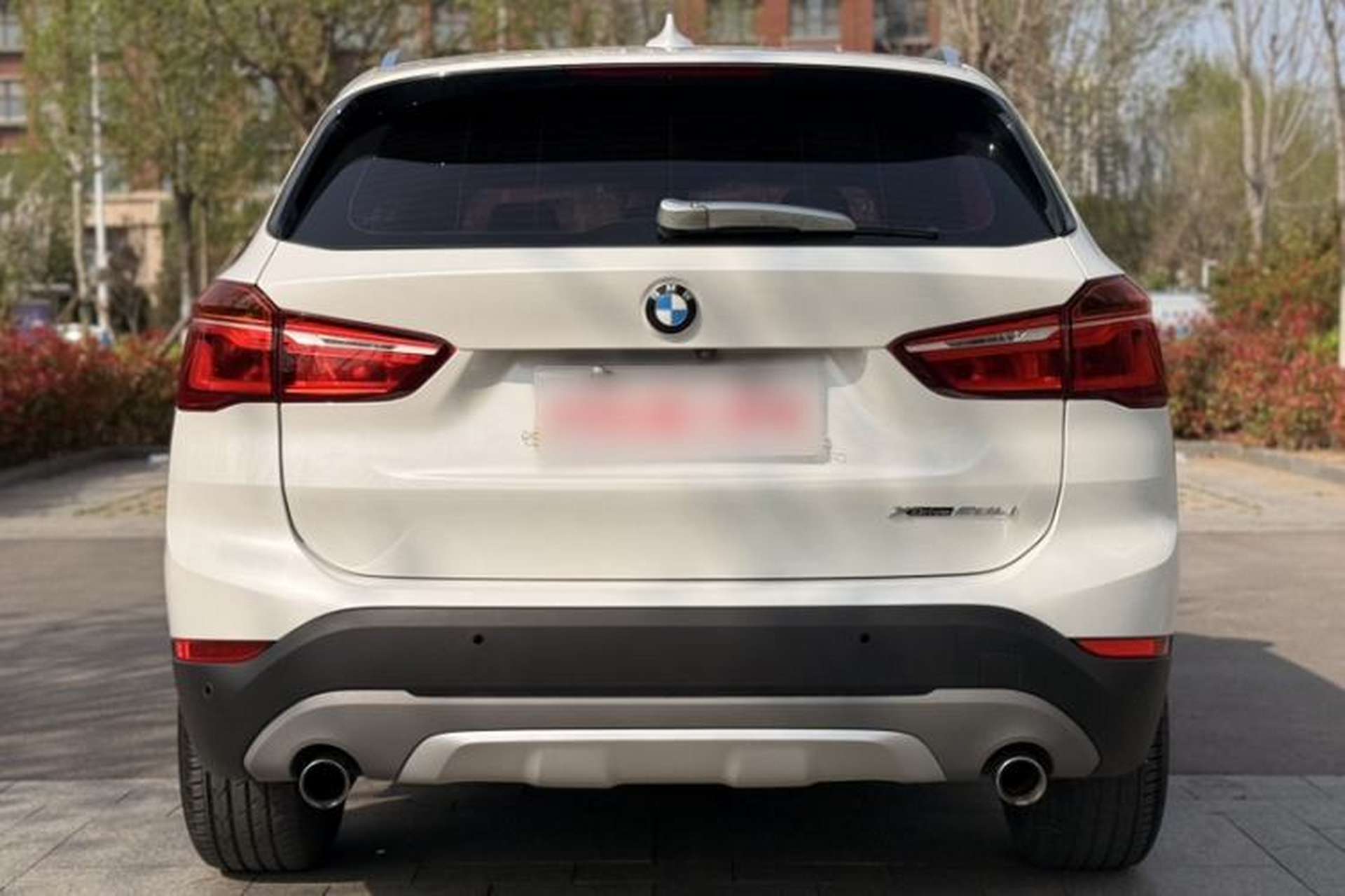 Used BMW X1 2019 xDrive20Li Luxury Model Exterior 6
