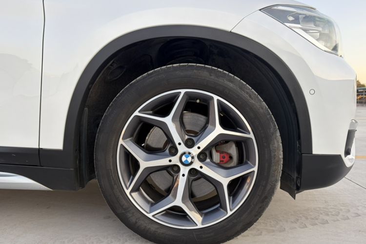 Used BMW X1 2019 xDrive20Li Luxury Edition Exterior 7