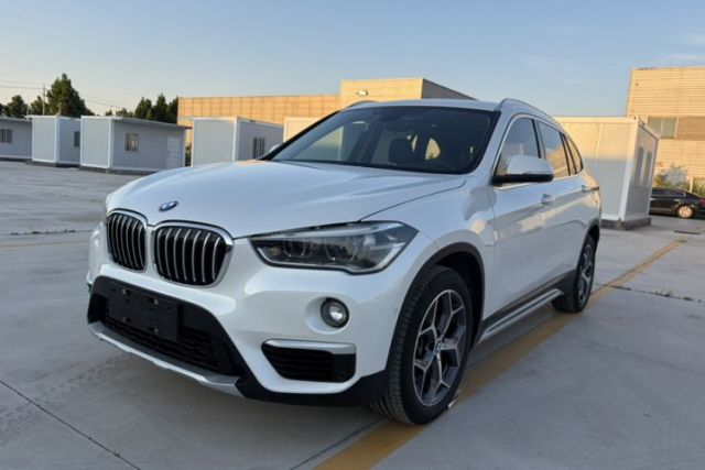 Used BMW X1 2019 xDrive20Li Luxury Edition
