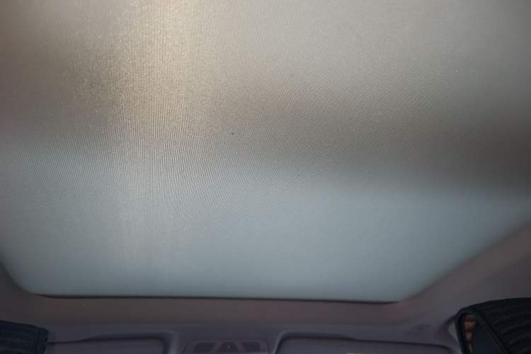 Used BMW X1 2019 sDrive20Li Leading Model Headliner