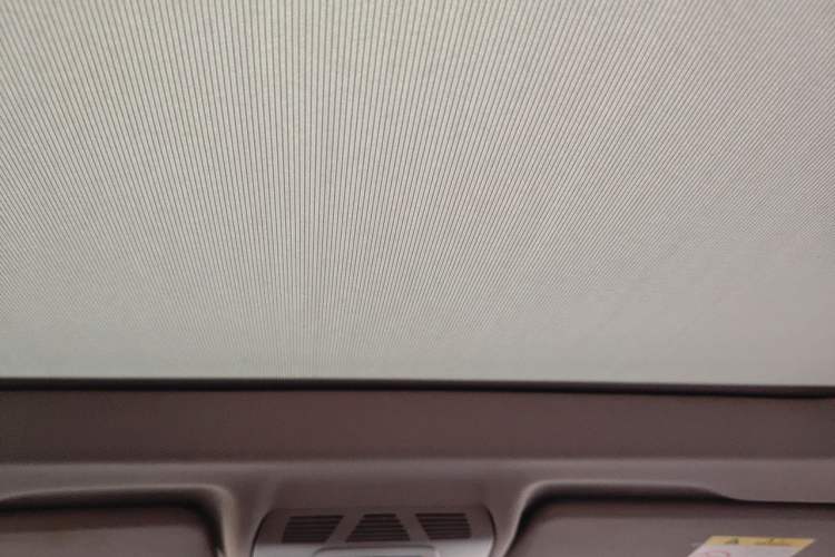 Used BMW X1 2019 xDrive20Li Luxury Model Headliner