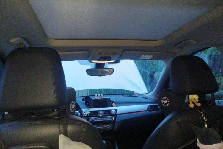 Used BMW X1 2019 sDrive20Li Leading Model Headliner