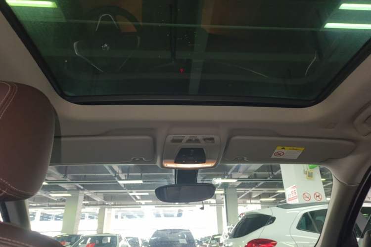 Used BMW X1 2019 xDrive20Li Luxury Model Headliner