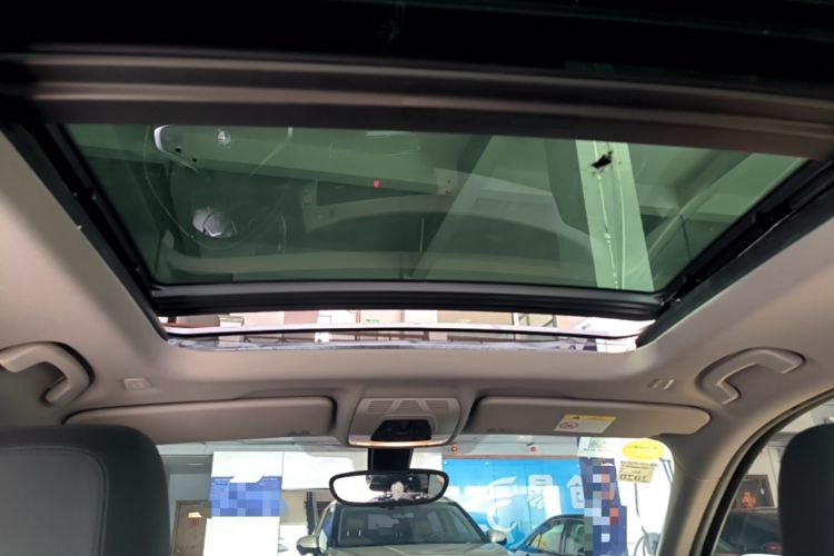 Used BMW X1 2019 sDrive20Li Leading Model Headliner