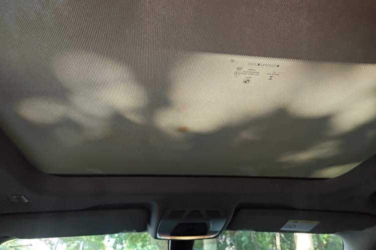 Used BMW X1 2019 xDrive20Li Luxury Model Headliner