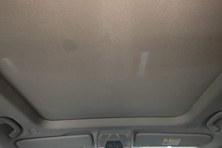 Used BMW X1 2019 xDrive20Li Luxury Model Headliner
