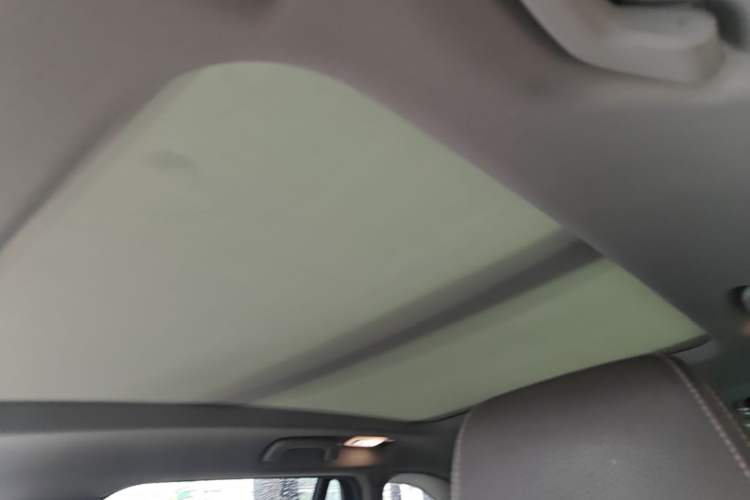 Used BMW X1 2019 xDrive20Li Luxury Model Headliner