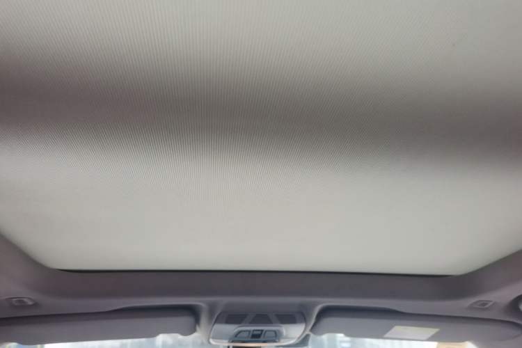 Used BMW X1 2019 sDrive20Li Leading Model Headliner
