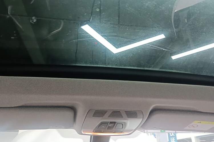 Used BMW X1 2019 sDrive18Li Premium Edition Headliner
