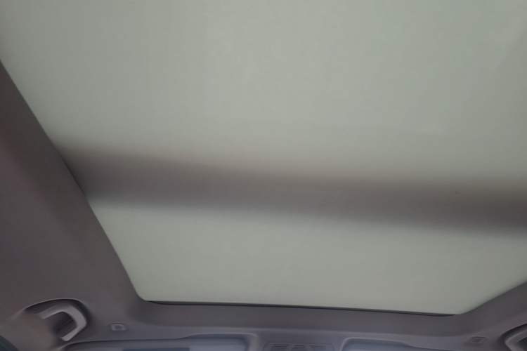 Used BMW X1 2019 sDrive20Li Leading Model Headliner