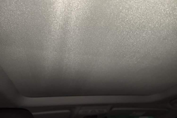 Used BMW X1 2019 sDrive20Li Leading Model Headliner