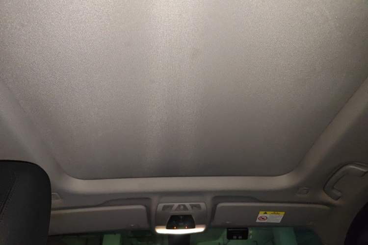 Used BMW X1 2019 sDrive20Li Leading Model Headliner