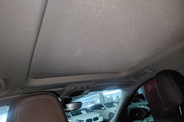 Used BMW X1 2019 xDrive20Li Luxury Model Headliner
