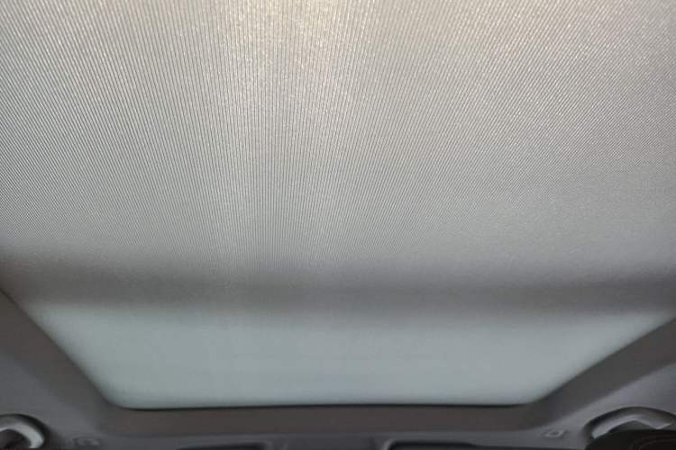 Used BMW X1 2019 xDrive20Li Luxury Model Headliner