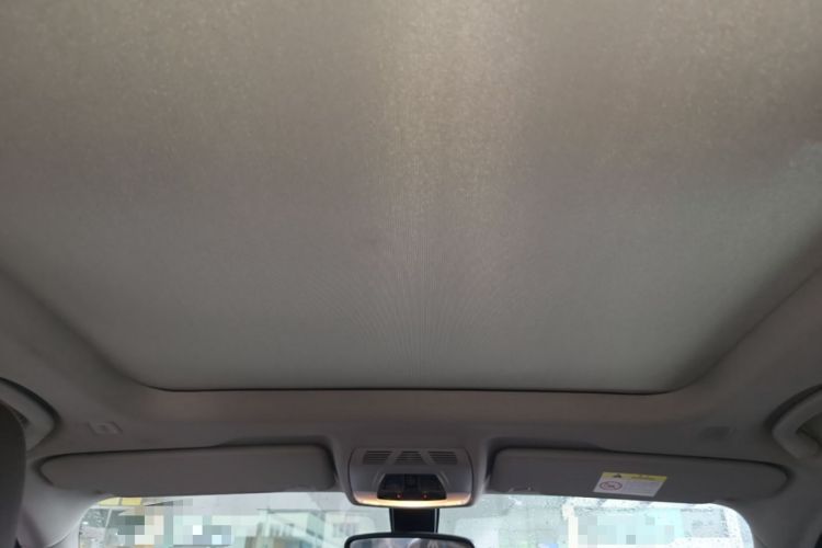 Used BMW X1 2019 sDrive20Li Leading Model Headliner