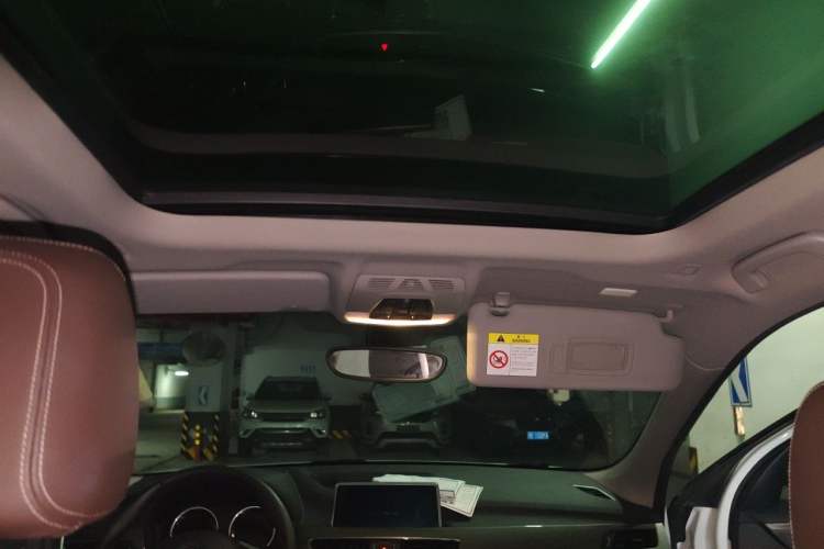 Used BMW X1 2019 xDrive20Li Luxury Model Headliner