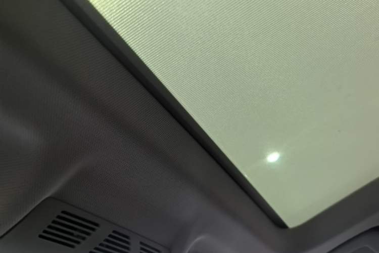 Used BMW X1 2019 sDrive20Li Leading Model Headliner