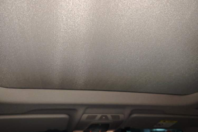 Used BMW X1 2019 sDrive20Li Leading Model Headliner