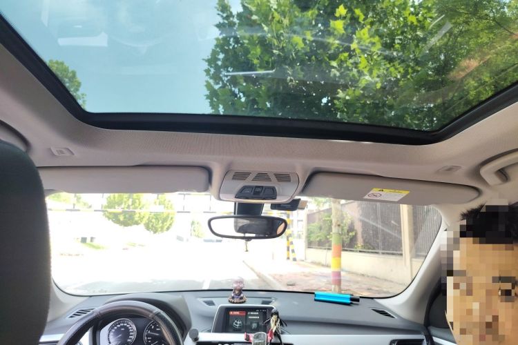 Used BMW X1 2019 sDrive20Li Leading Model Headliner