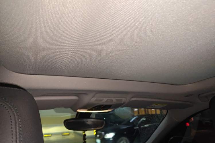Used BMW X1 2019 sDrive20Li Leading Model Headliner