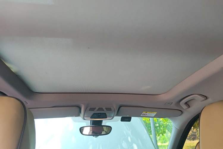 Used BMW X1 2019 sDrive20Li Leading Model Headliner