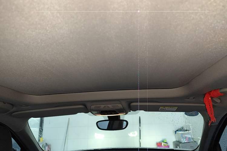 Used BMW X1 2019 sDrive20Li Leading Model Headliner