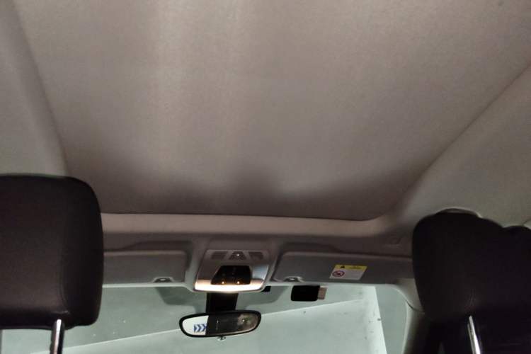 Used BMW X1 2019 sDrive20Li Leading Model Headliner