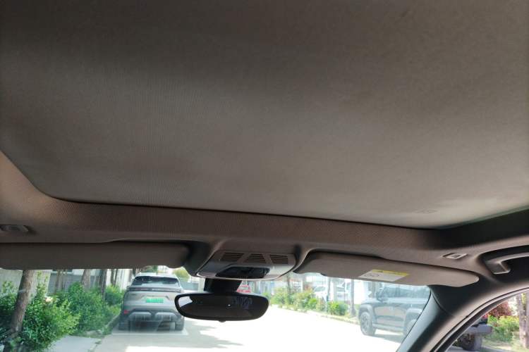 Used BMW X1 2019 sDrive18Li Premium Edition Headliner