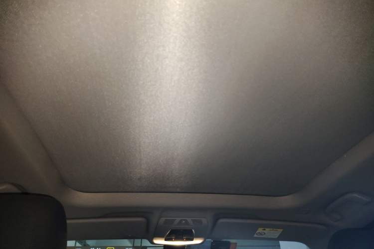 Used BMW X1 2019 sDrive20Li Leading Model Headliner