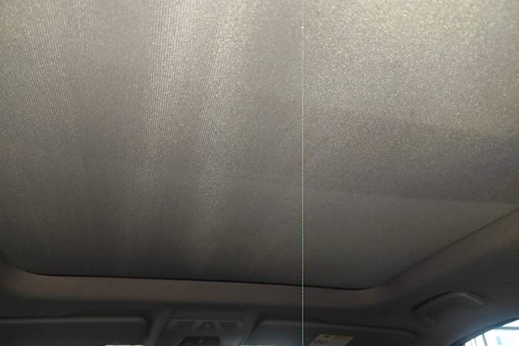 Used BMW X1 2019 sDrive18Li Premium Edition Headliner