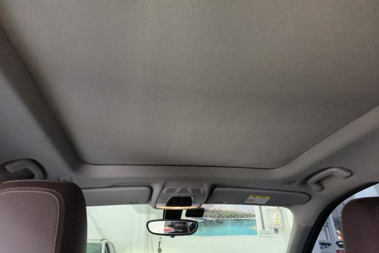 Used BMW X1 2019 xDrive20Li Luxury Model Headliner