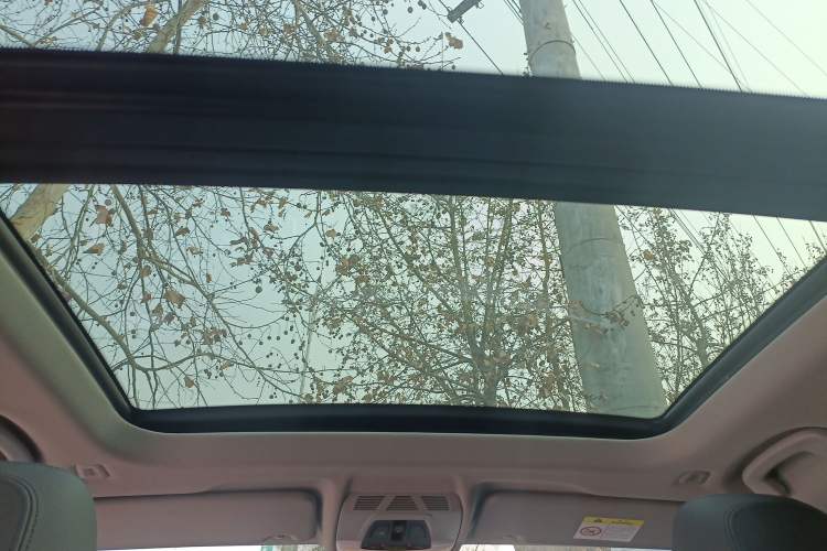 Used BMW X1 2019 sDrive20Li Leading Model Headliner