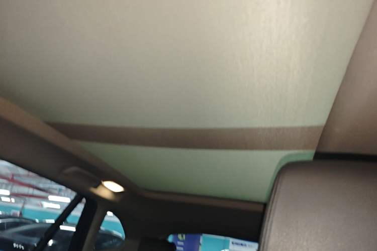 Used BMW X1 2019 sDrive20Li Leading Model Headliner