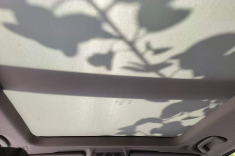Used BMW X1 2019 sDrive18Li Premium Edition Headliner