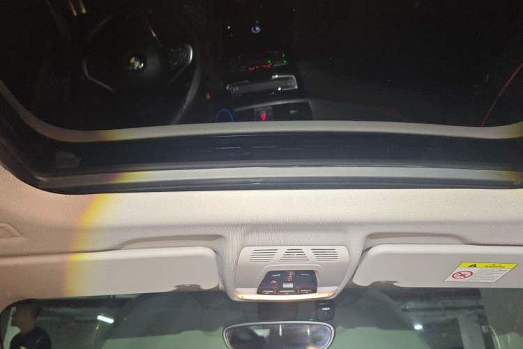 Used BMW X1 2019 xDrive20Li Luxury Model Headliner