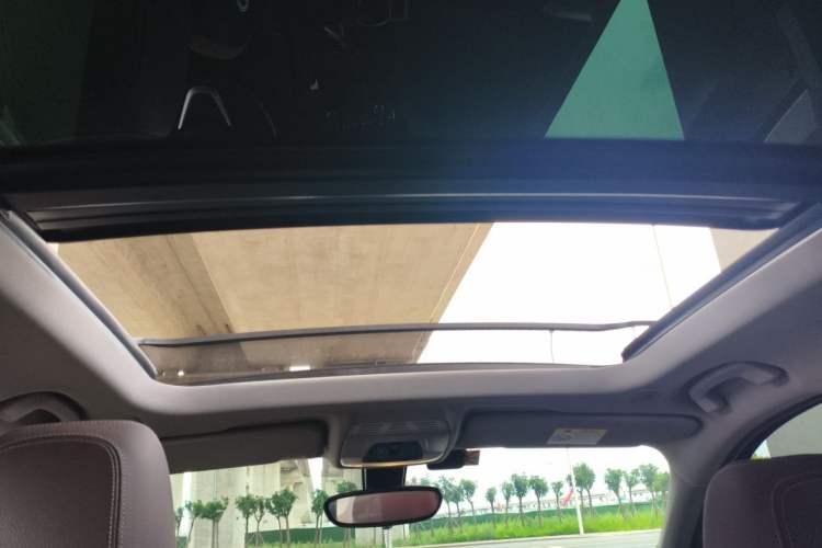 Used BMW X1 2019 xDrive20Li Luxury Model Headliner