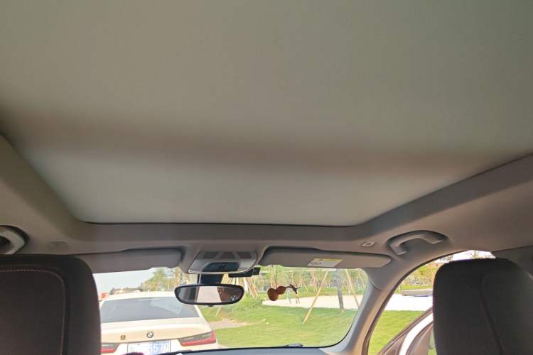 Used BMW X1 2019 xDrive20Li Luxury Model Headliner