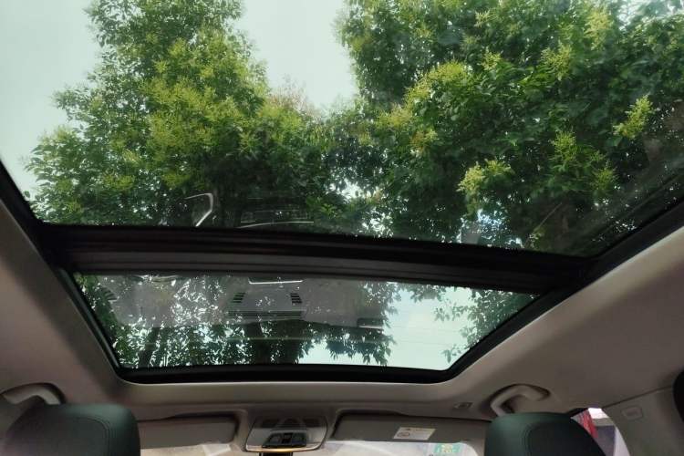 Used BMW X1 2019 sDrive20Li Leading Model Headliner