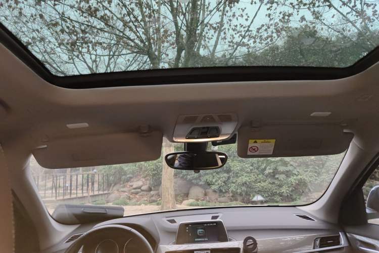 Used BMW X1 2019 sDrive18Li Premium Edition Headliner