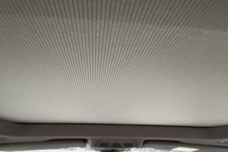 Used BMW X1 2019 xDrive20Li Luxury Edition Headliner